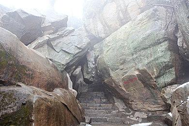 《彩虹六号：异种》“梦魇迷雾”预告 5月13日正式揭晓