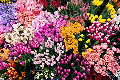 《绝地潜兵2》x《杀戮地带2》联动现已正式推出